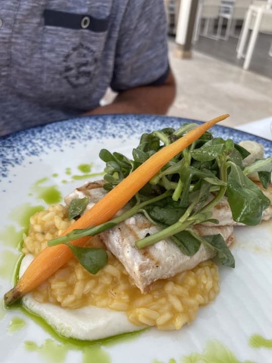 Gastro Acanthus Cennet Barut Collection