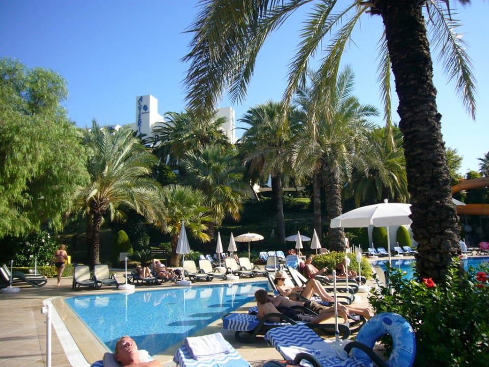 Pool Side Star Elegance