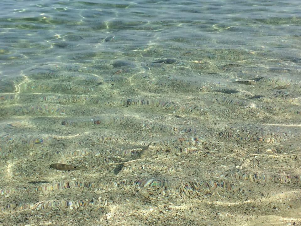 Strand Three Corners Sea Beach Resort