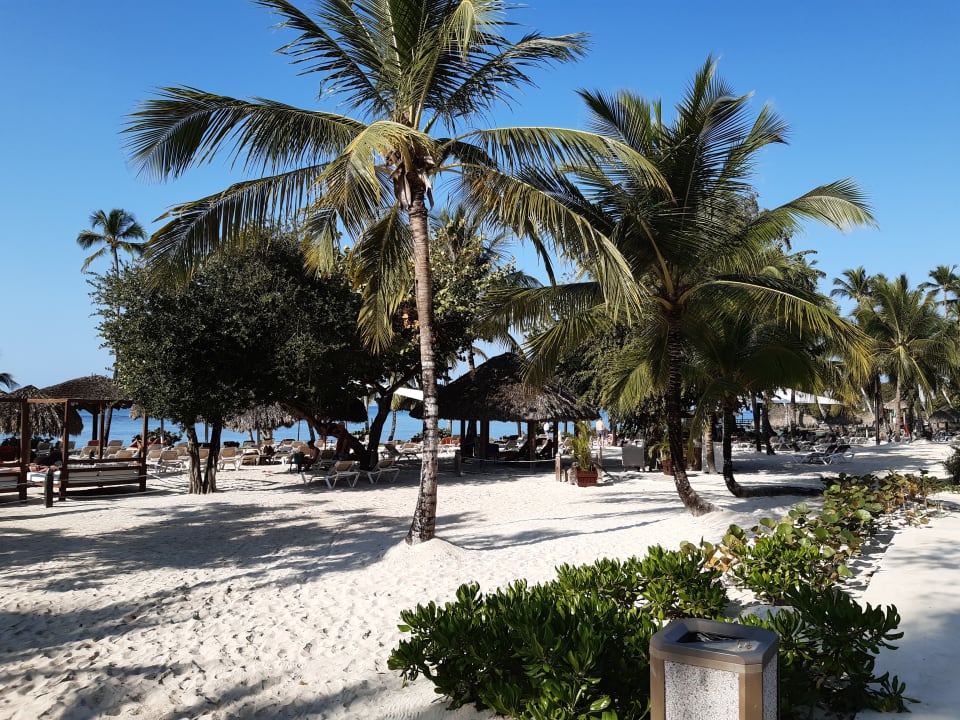 Strand Secrets La Romana Resort & Spa - Adult Only