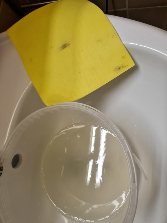 Zimmer Sonnenmatte-Titisee B+B Hotel Guesthouse