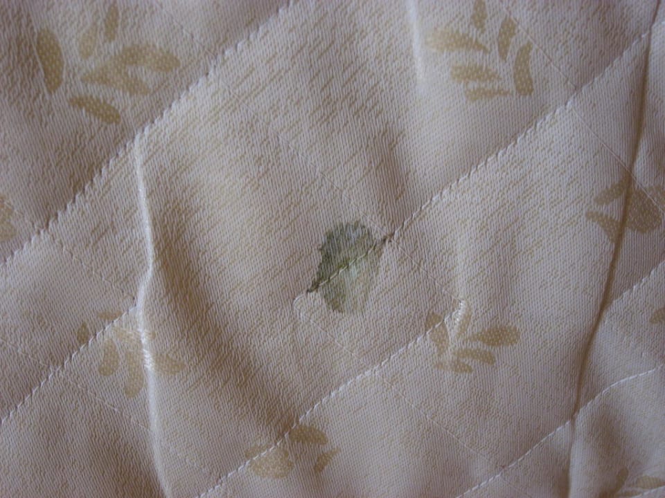 Schimmelflecken Vantaris Palace