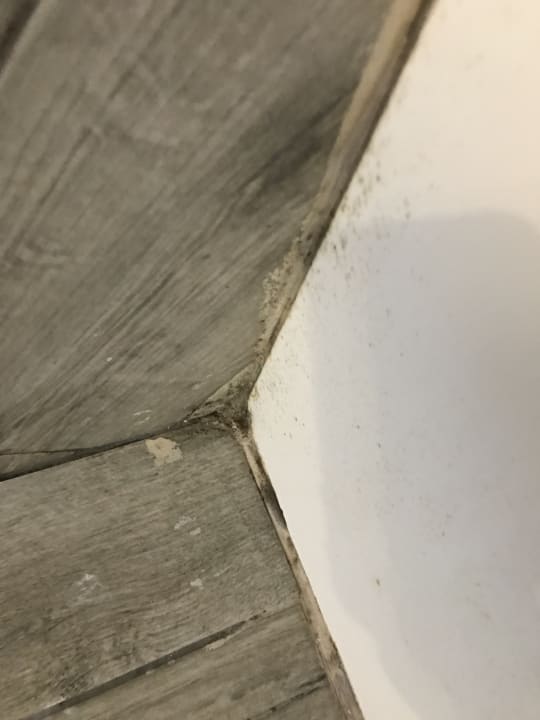 Zimmer Gold Island Selected