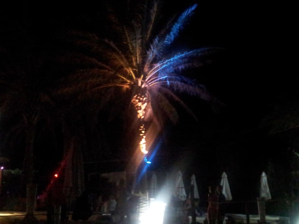 Holabeach am Abend Riviera Spa Resort - Adults Only