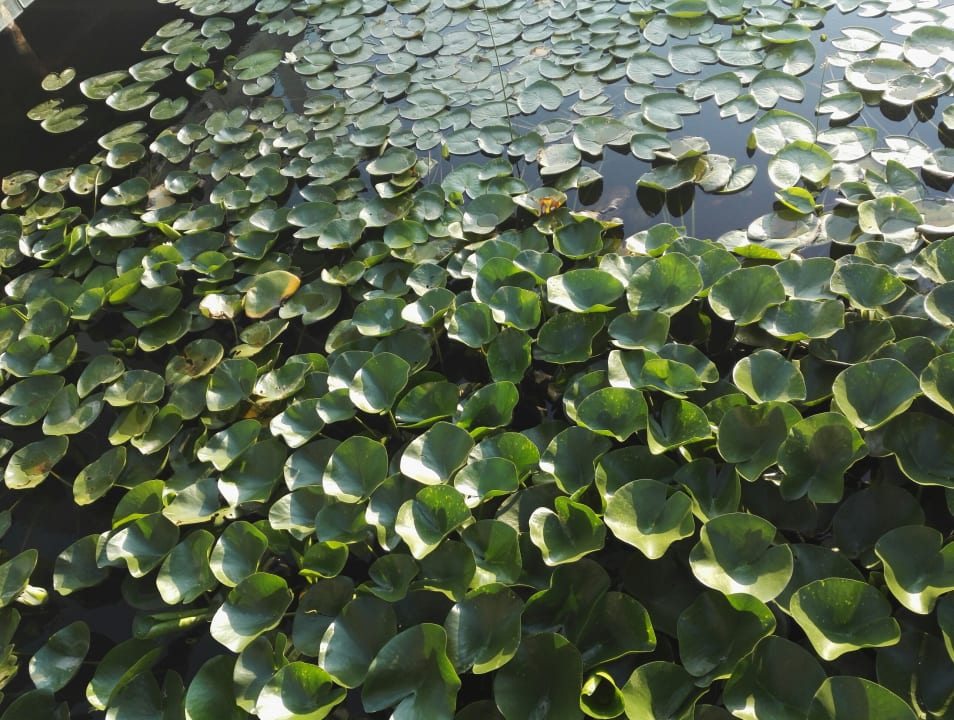 Sonstiges Jiva Beach Resort