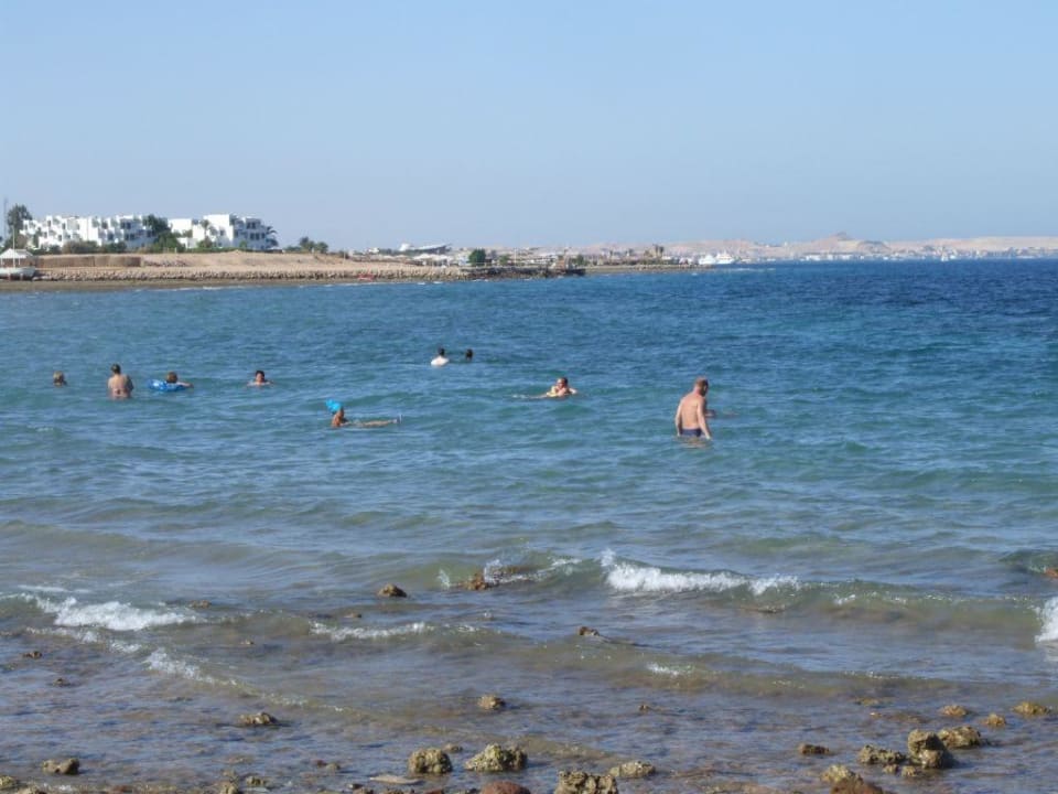 Strand Pickalbatros Aqua Vista Resort - Hurghada