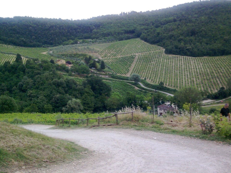 Ausblick auf die umliegenden Weinberge Agriturismo Fattoria di Castiglionchio