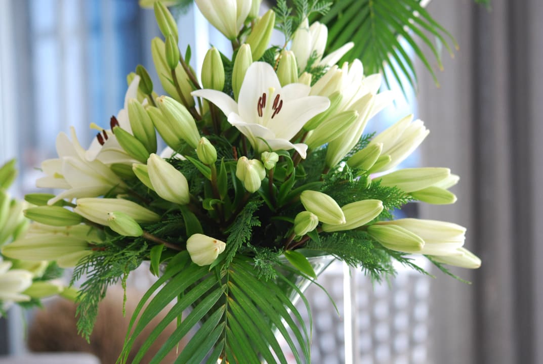 Lobby Hotel Baia Azul