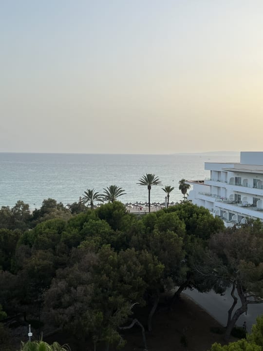 Ausblick Aparthotel Houm Plaza Son Rigo