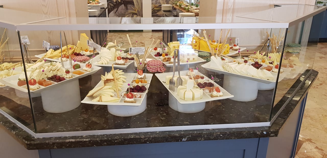 Gastro Papillon Belvil