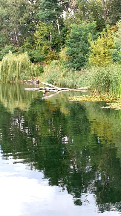 Strand Hotel Acamed Resort