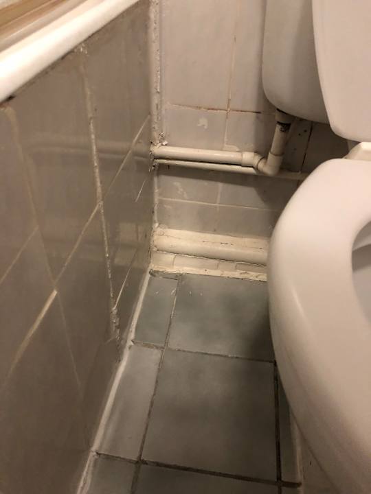 Zimmer Hotel Norfolk Plaza