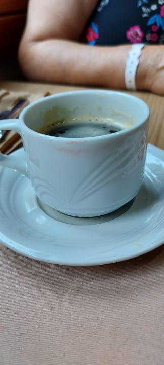 Zimmer AQI Pegasos World