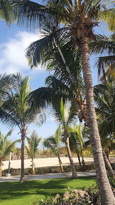 Gartenanlage Hotel Riu Cabo Verde
