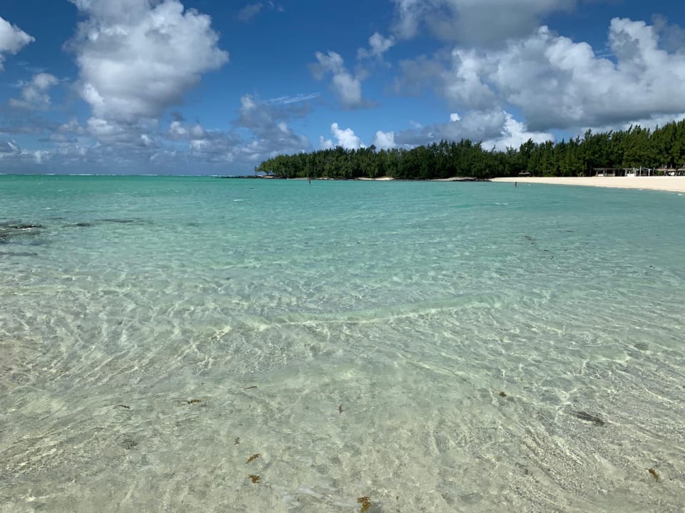 Strand Tropical Attitude - Adults only