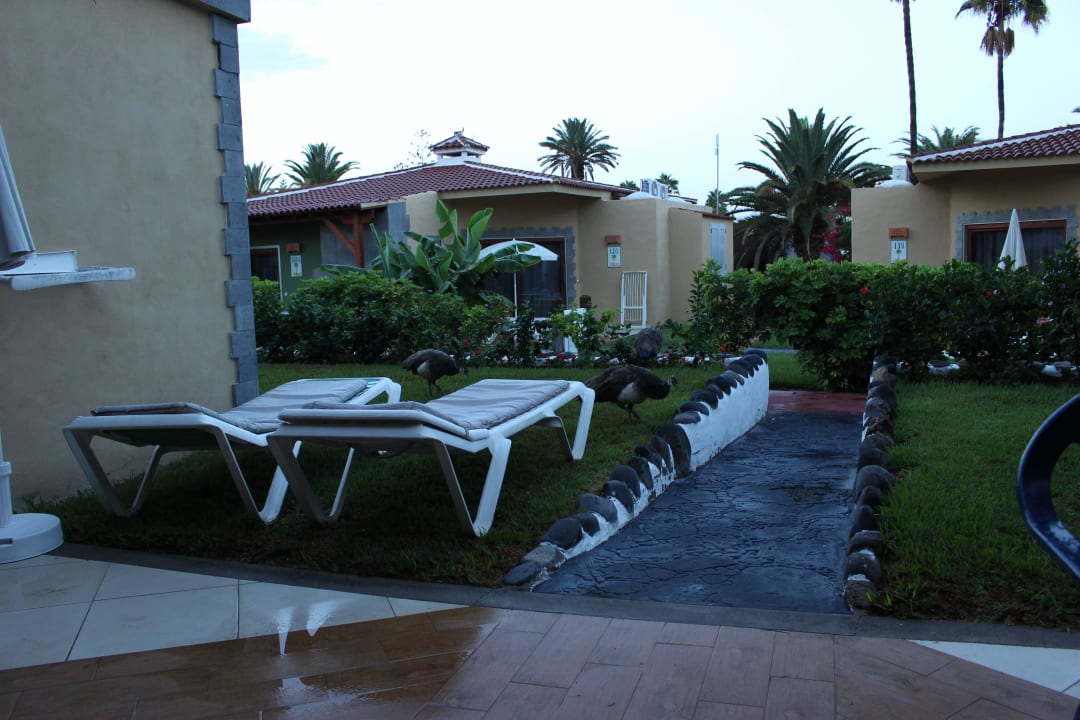 Ein Blick vom Bungalow  HL Miraflor Suites Hotel