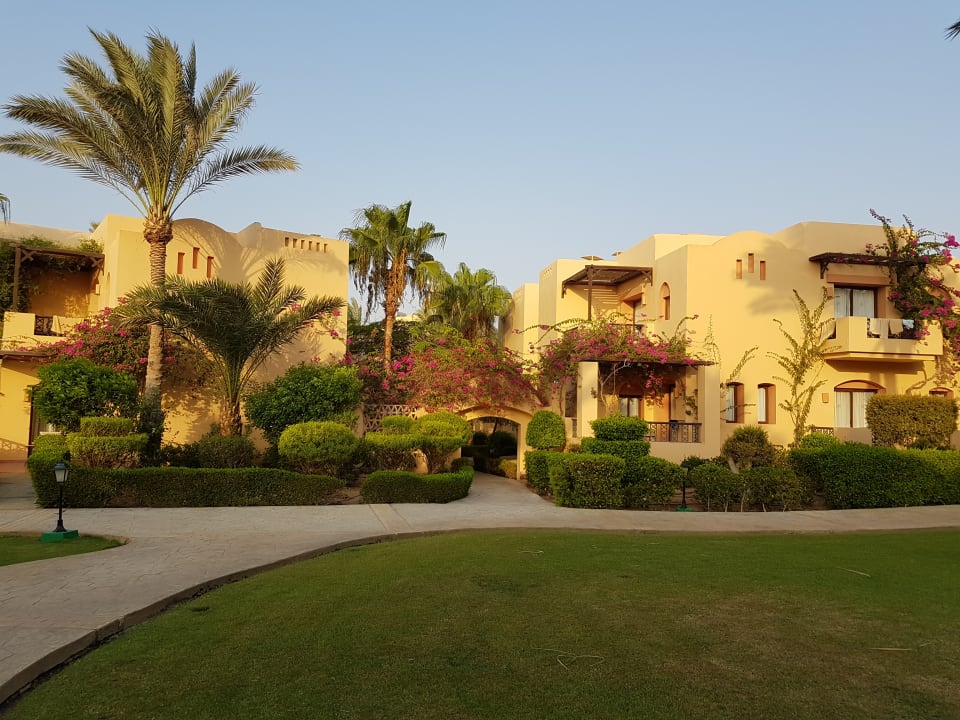 Gartenanlage Steigenberger Coraya Beach - Adults only