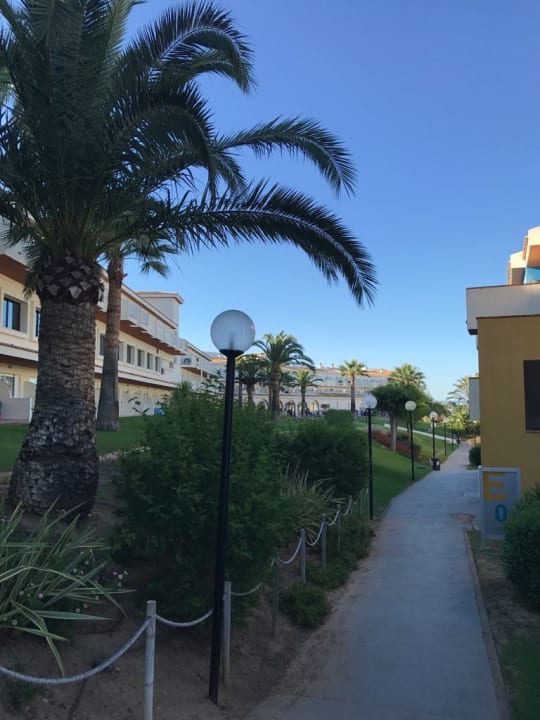 Gartenanlage blau punta reina