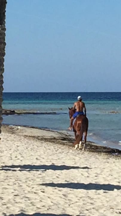 Strand, Badeschuhe nicht vergessen ROBINSON DJERBA BAHIYA