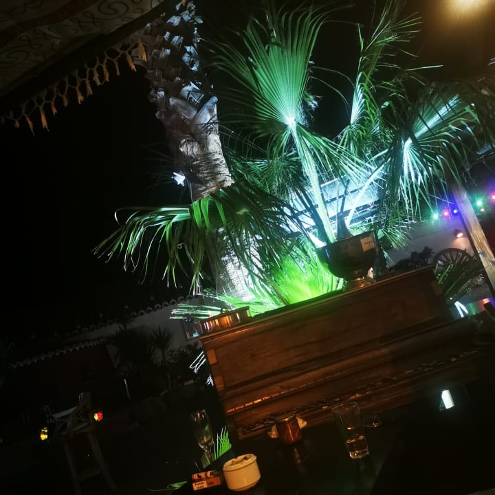 Gartenanlage Bio Finca - Las Tenerías