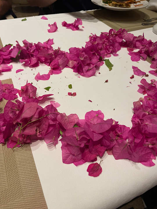 Gastro Sentido Caribbean World Soma Bay