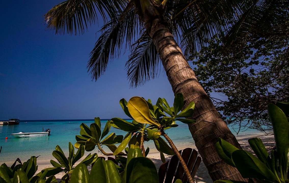 Strand Summer Island Maldives