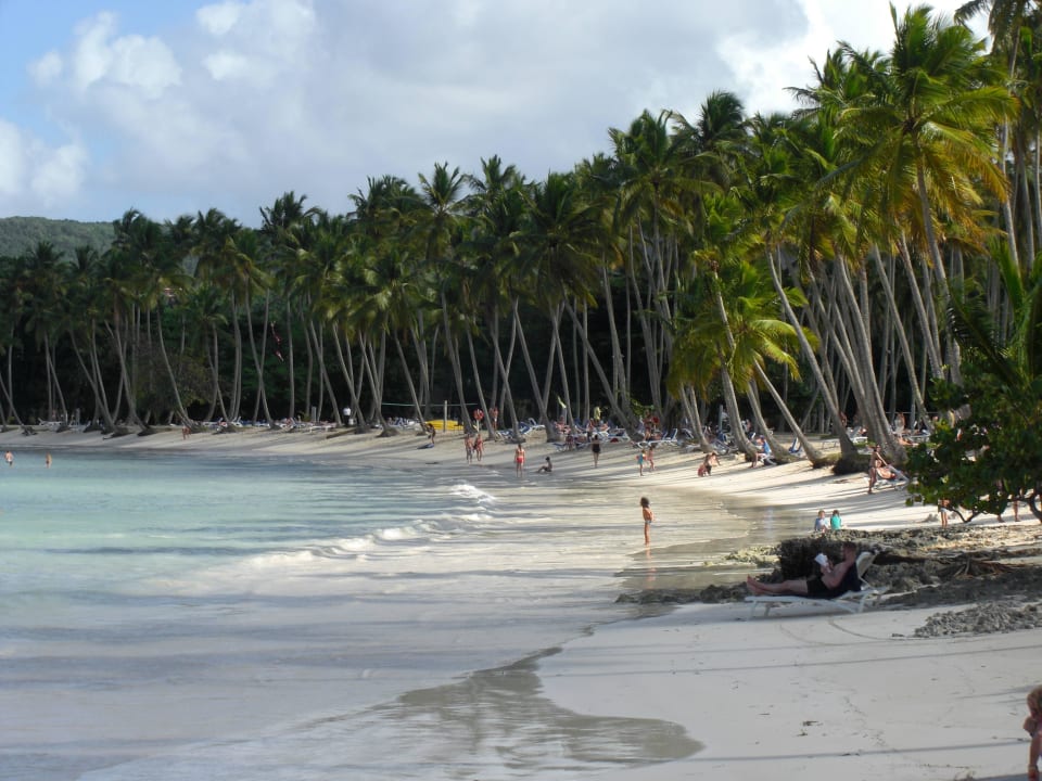 Strand bei Ebbe Wyndham Alltra Samana