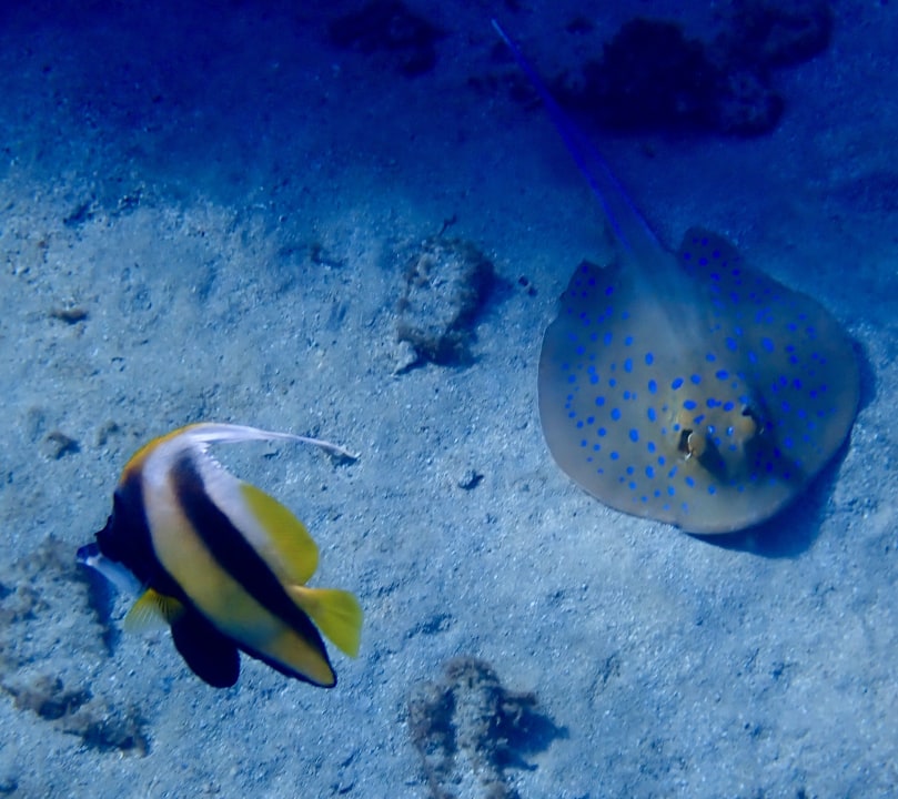 Strand Brayka Bay Resort