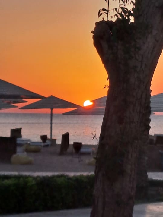 Strand Menaville Safaga