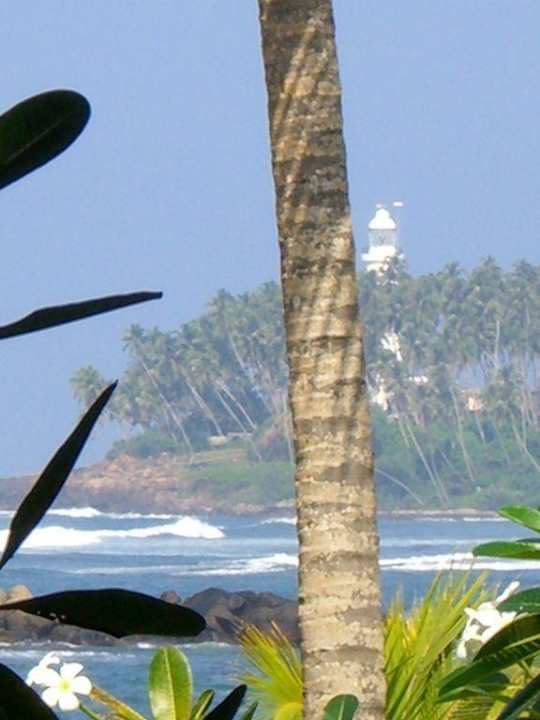 Traumausblick Earl’s Reef Beruwala