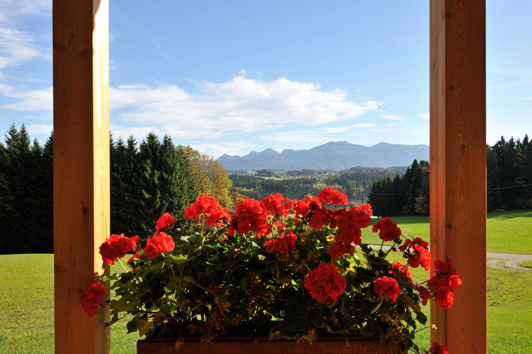 Ausblick vom Lamplhof Lamplhof