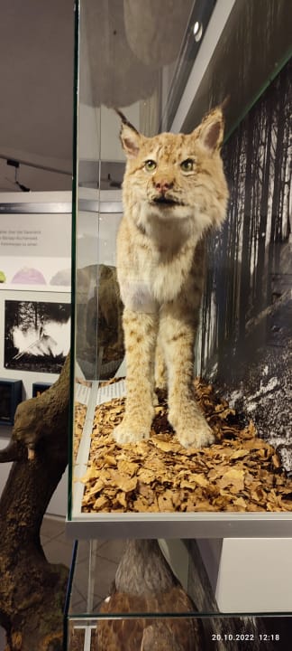 Ausblick Berghotel Hoher Knochen