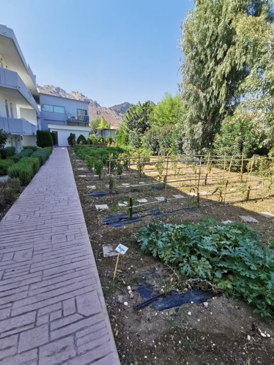 Gartenanlage Kolymbia Bay Art Adults-only Hotel