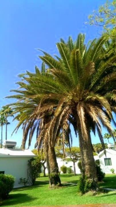 Ausblick Canary Garden Club