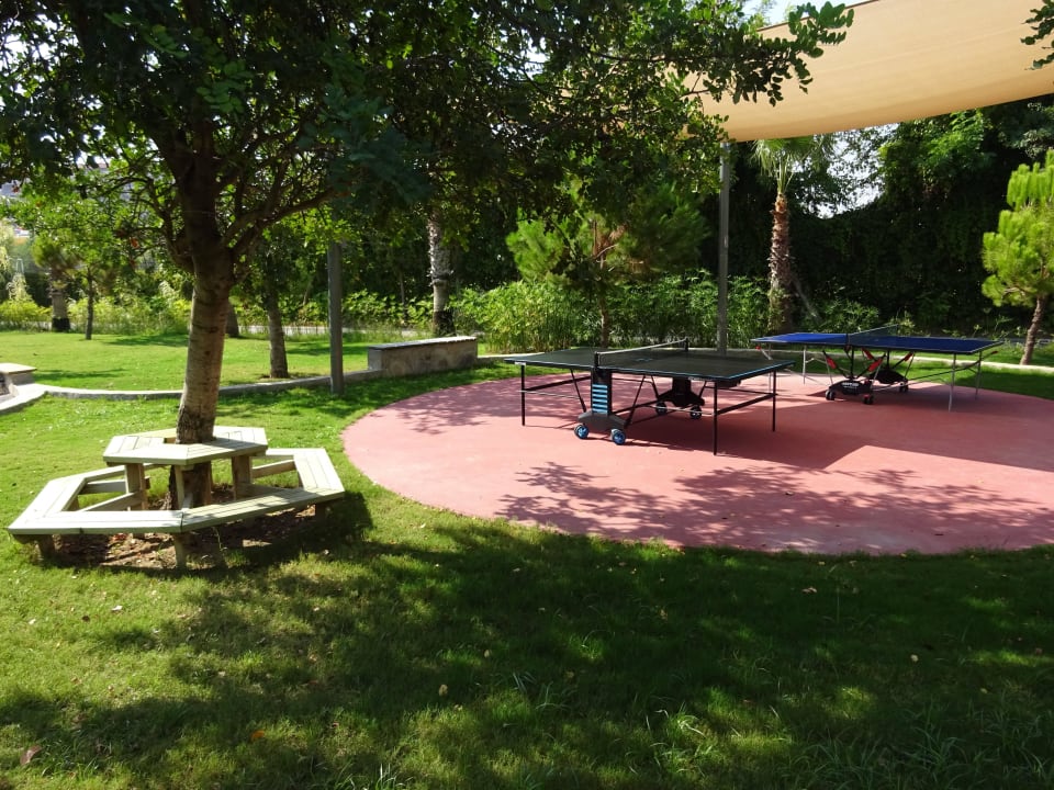 Tischtennis TUI BLUE Palm Garden