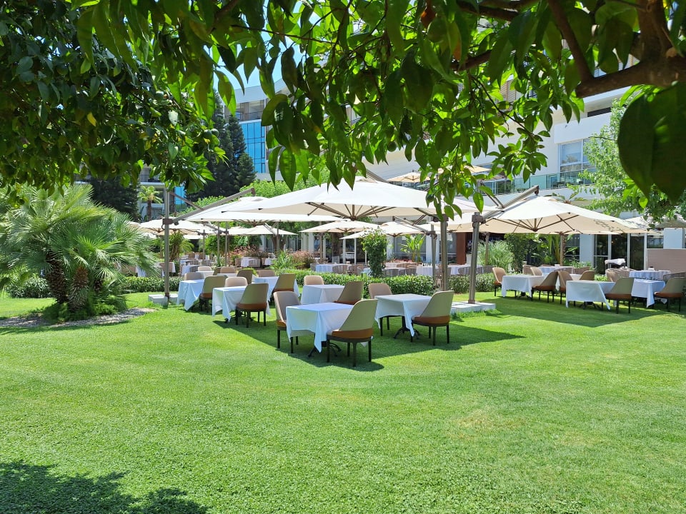 Gastro TUI MAGIC LIFE Beldibi +16