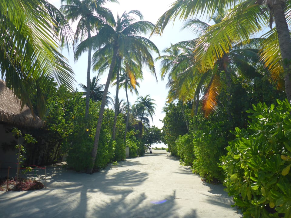 Gartenanlage Cinnamon Velifushi Maldives - Free One-Way Speedboat and 02 Kids Under 12 Stay & Dine Free
