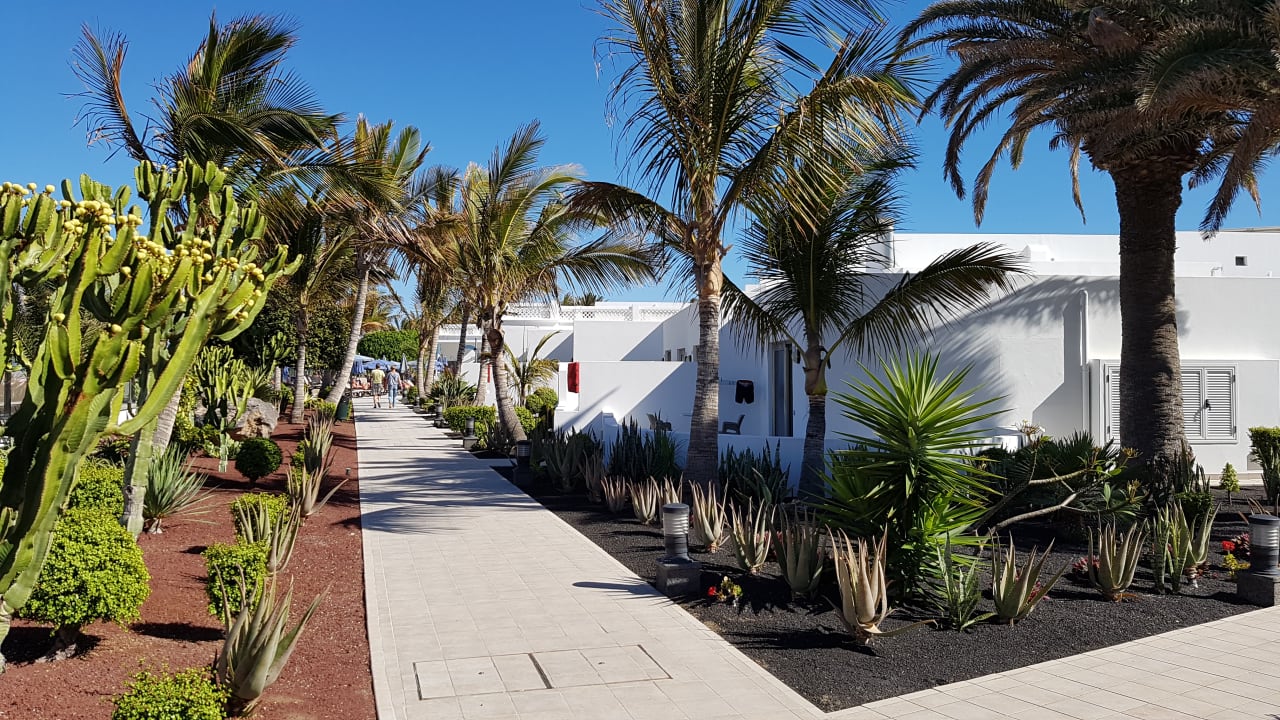Gartenanlage Hotel Las Costas