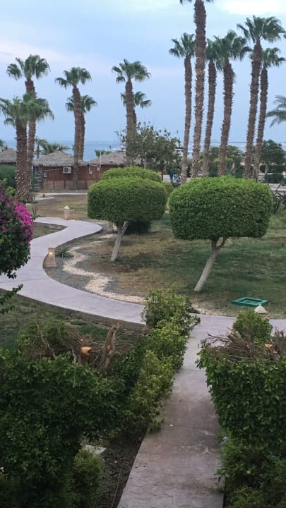 Gartenanlage Lotus Bay Beach Resort