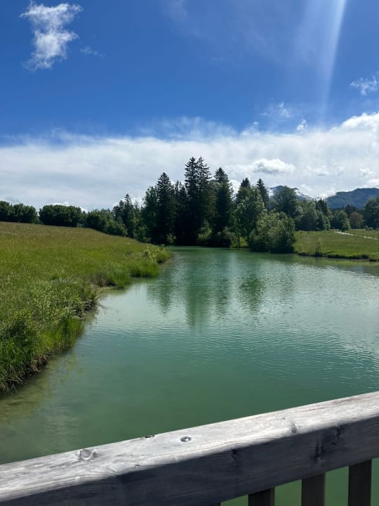 Ausblick Hotel Seehof