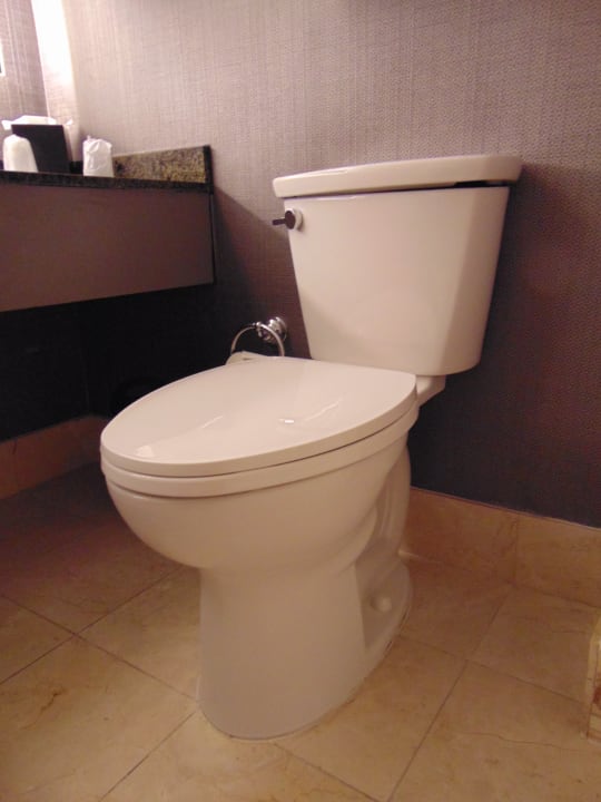 Zimmer Sheraton Philadelphia Downtown Hotel