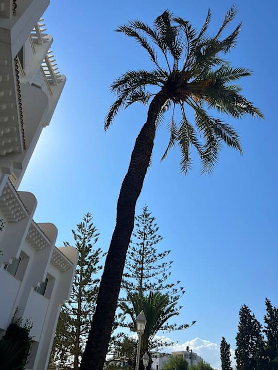 Außenansicht Marhaba Royal Salem