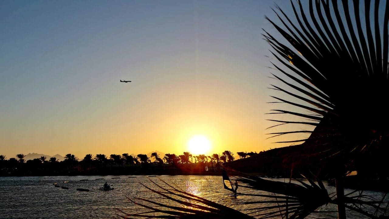 Ausblick Desert Rose