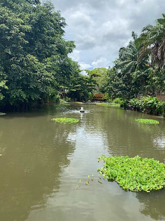 Gartenanlage Anantara Hua Hin Resort