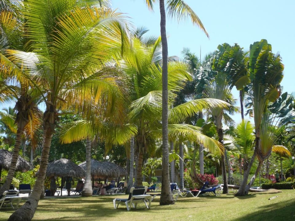 Liegewiese am Pool Grand Palladium Select Bávaro Resort & Spa