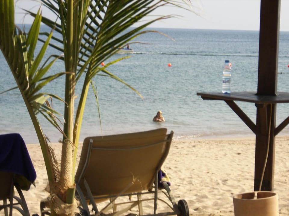 Der Zauberknopf Hotel Le Meridien Al Aqah Beach Resort
