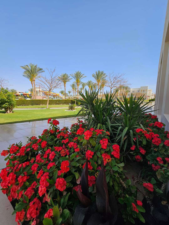 Gartenanlage Jaz Aquaviva