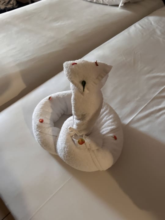 Zimmer Jaz Dar EL Madina