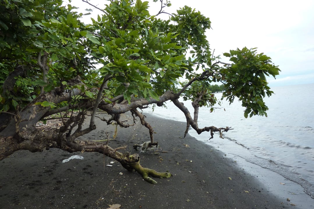 Strandspaziergang Hotel Bali Oase Resort