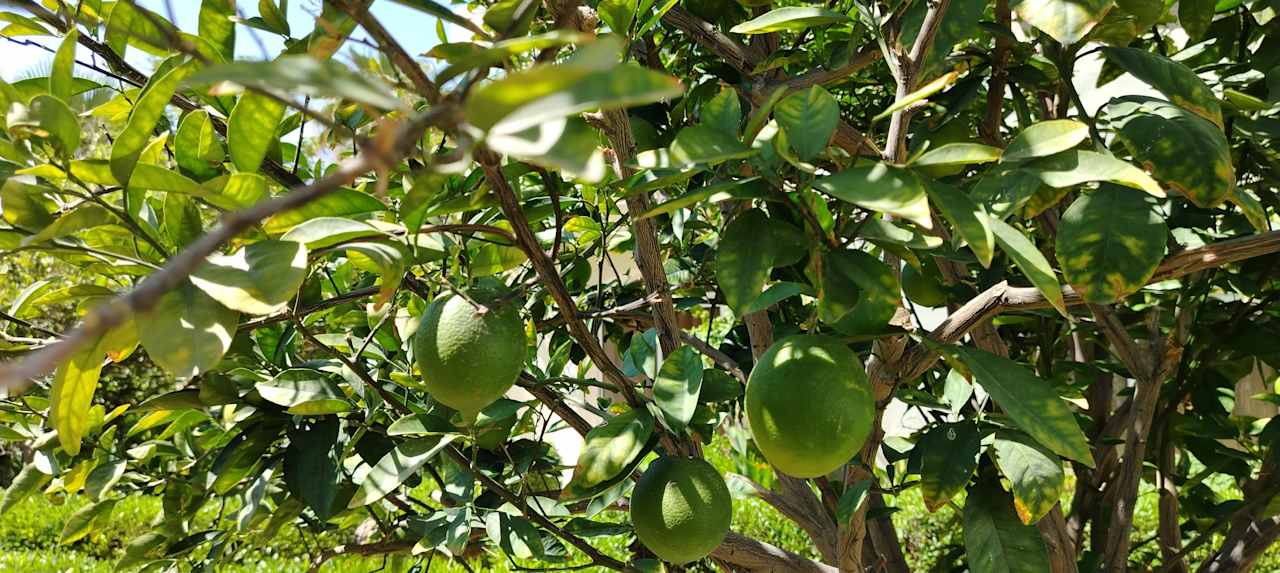 Gartenanlage Bella Vista Resort Hurghada